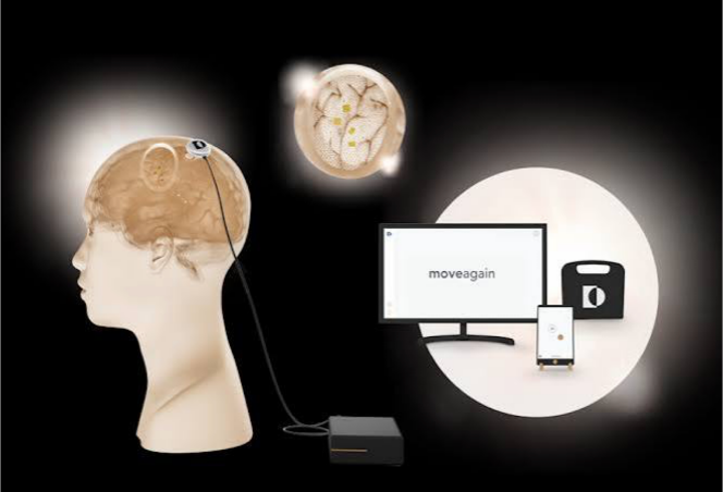 Blackrock Neurotech企业VI设计案例评估指数-脑机接口品牌设计